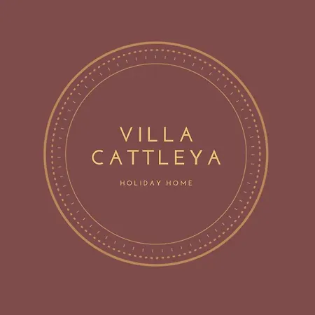 Cattleya *