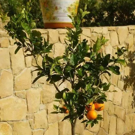 Casa vacanze Cattleya *
