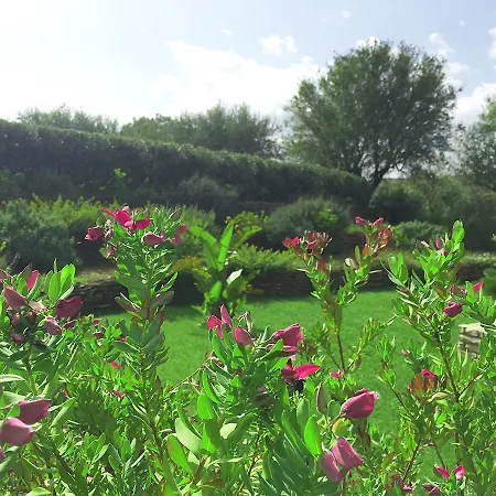 Casa vacanze Cattleya