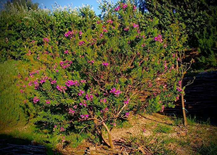 Cattleya בית נופש קמפופליצ'ה די רוצ'לה