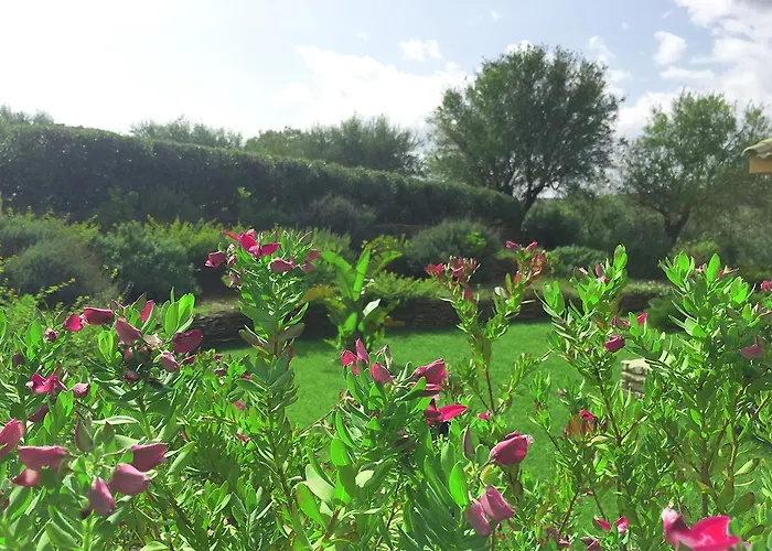 בית נופש Cattleya