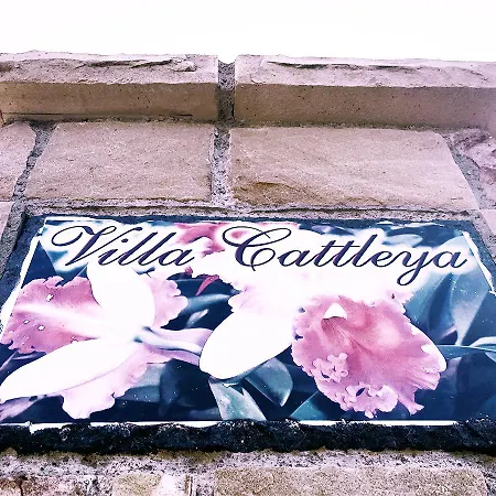 Cattleya Дом отдыха